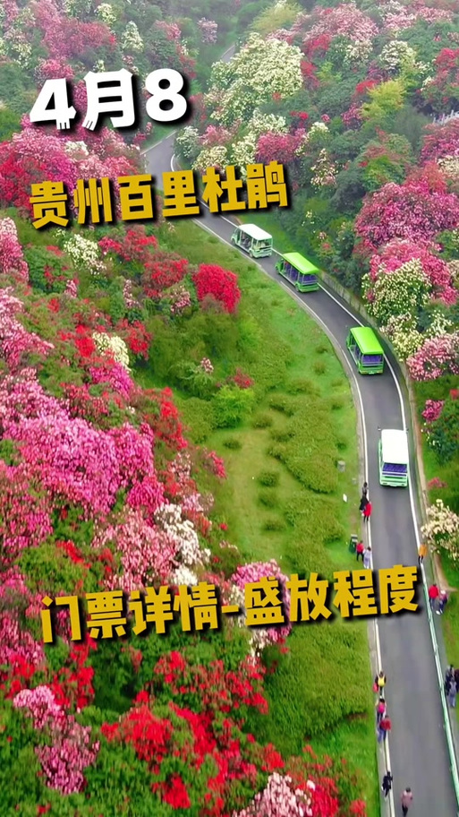 太湖一周天气预报，天气预报太湖县天气预报？-第2张图片-优品飞百科