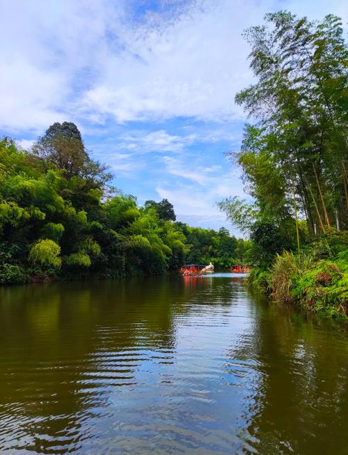 宜宾天气预报，宜宾天气预报40天-第3张图片-优品飞百科