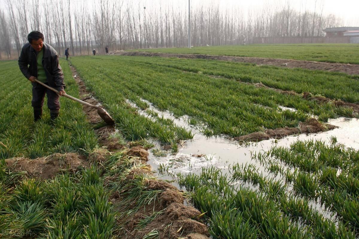 菏泽市郓城县天气预报，菏泽市郓城县天气预报今天夜间到明天白天？-第3张图片-优品飞百科