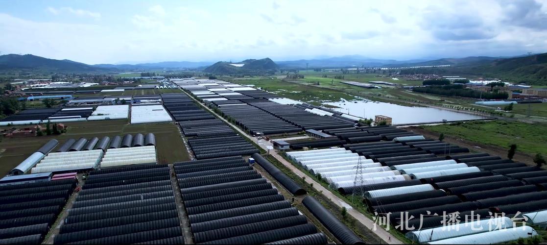 浠水一周天气预报，浠水天气2345-第1张图片-优品飞百科