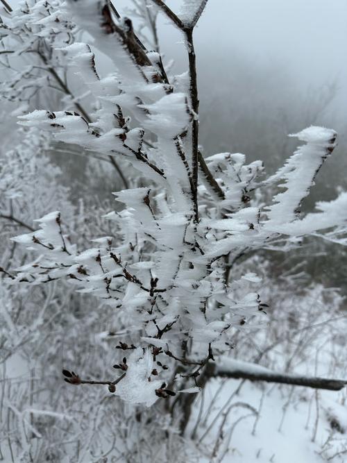 余杭区天气预报，浙江杭州余杭区天气预报？-第4张图片-优品飞百科