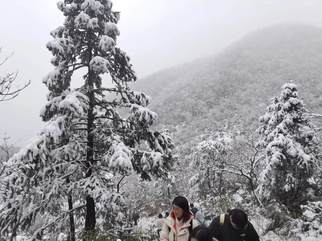 余杭区天气预报，浙江杭州余杭区天气预报？-第5张图片-优品飞百科