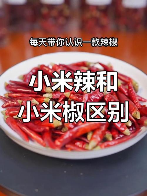 小米辣辣度是多少？小米辣辣度是多少一般人接受度？-第1张图片-优品飞百科