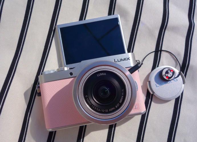 松下gf9镜头推荐，松下gf9适配镜头？-第4张图片-优品飞百科