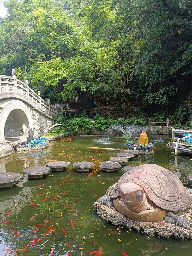 浦北天气预报，浦北天气预报45天查询结果准确-第2张图片-优品飞百科