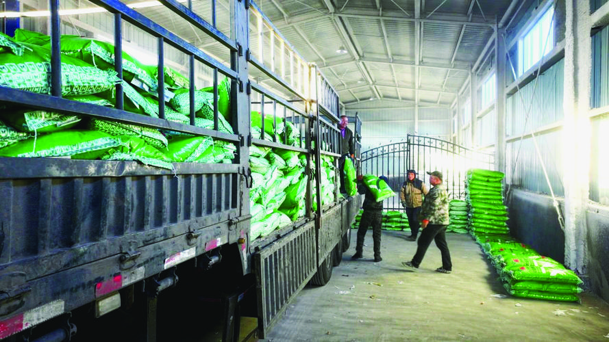 齐齐哈尔甘南县天气预报15天？甘南县的天气预报？-第1张图片-优品飞百科