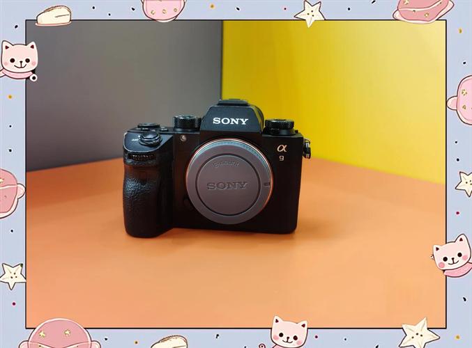 二手索尼wx350多少钱合适,二手索尼350多少钱合适买-第3张图片-优品飞百科 二手索尼wx350多少钱合适,二手索尼350多少钱合适买-第3张图片-优品飞百科