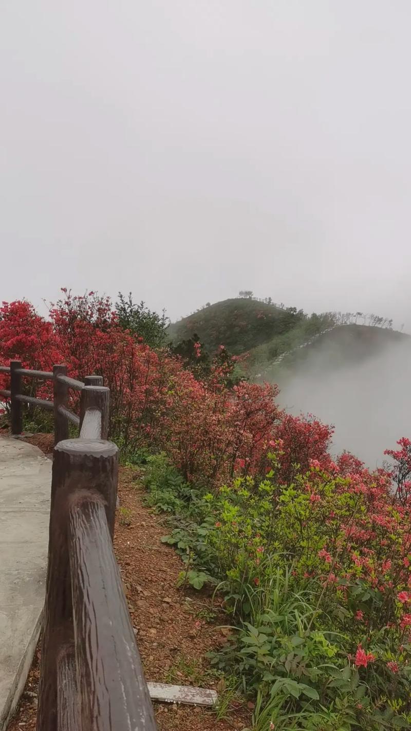 溆浦县天气预报，溆浦县天气预报十五天-第1张图片-优品飞百科