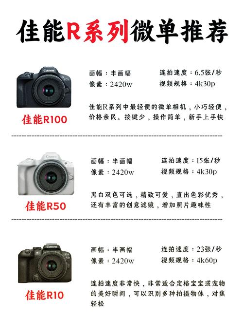 佳能eosr和5d4哪个好？佳能r跟5d4哪个好？-第2张图片-优品飞百科