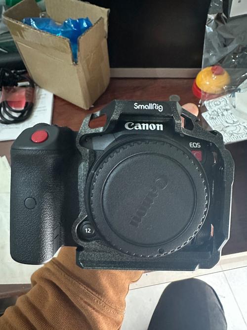 佳能eosr和5d4哪个好？佳能r跟5d4哪个好？-第3张图片-优品飞百科