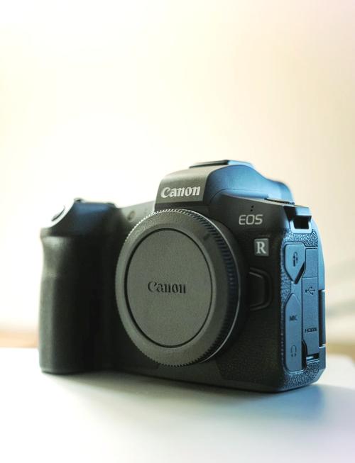 佳能eosr和5d4哪个好？佳能r跟5d4哪个好？-第4张图片-优品飞百科