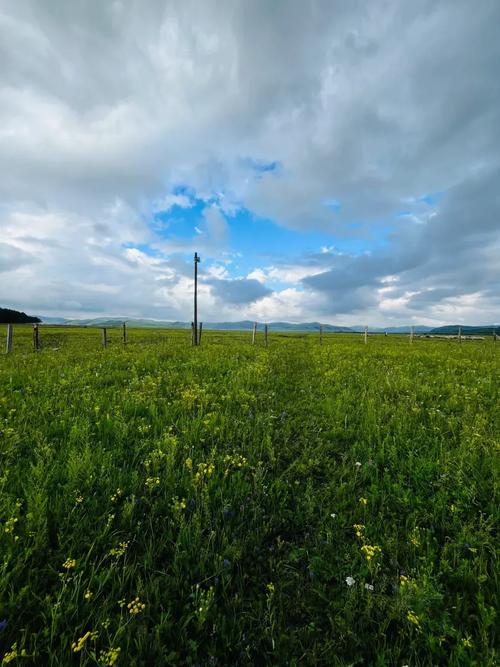 乌兰布统天气预报，乌兰布统天气预报15天查询结果？-第5张图片-优品飞百科