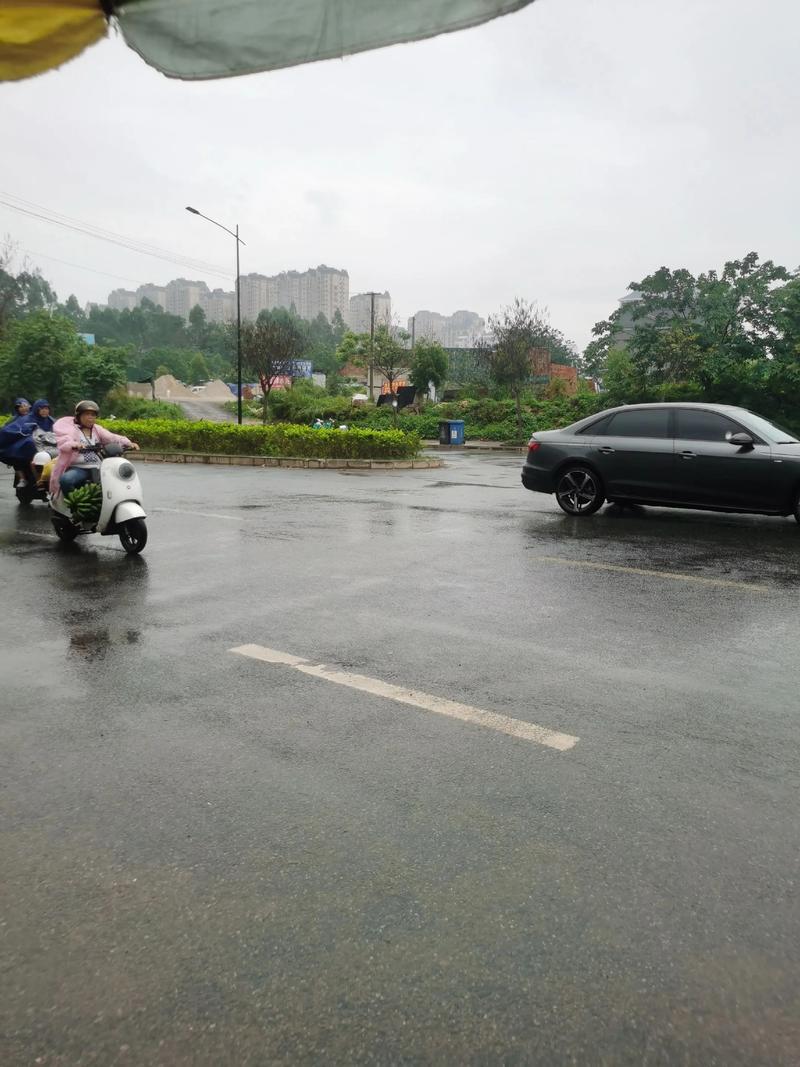 南充市天气预报七天，南充天气7天查询？-第3张图片-优品飞百科