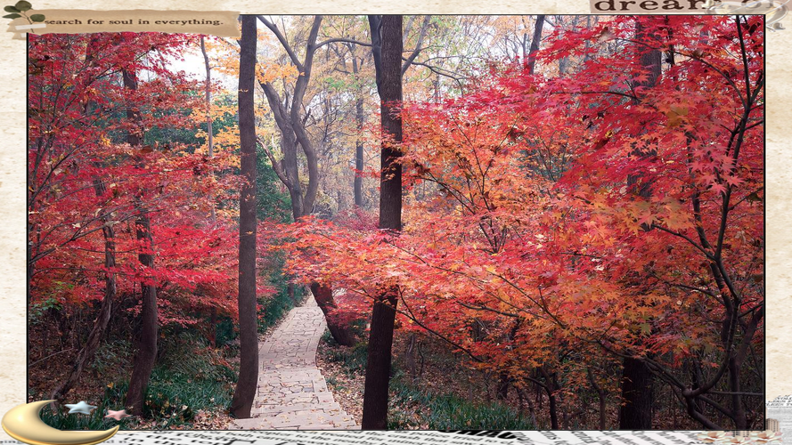 永嘉县天气预报15天，永嘉县天气预报15天查询？-第4张图片-优品飞百科