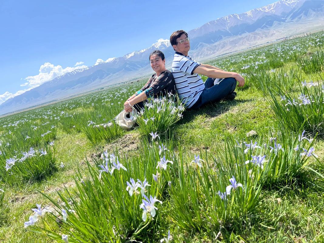 鄂尔多斯天气预报，鄂尔多斯天气预报未来15天最新版-第2张图片-优品飞百科