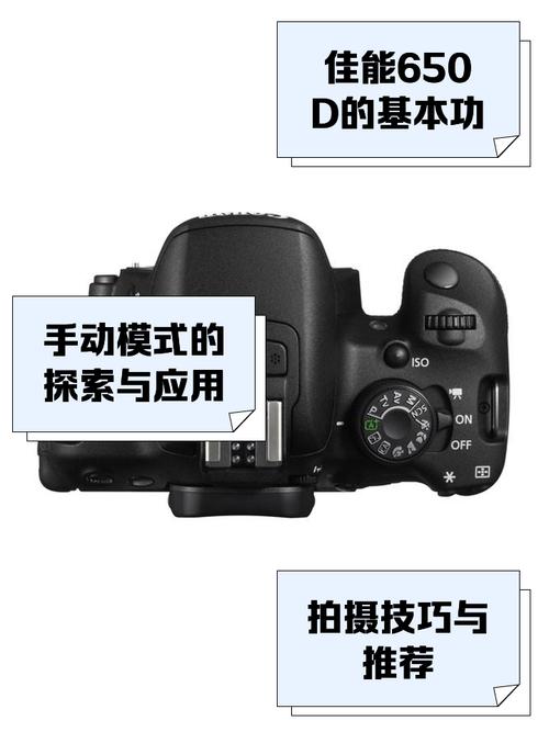 佳能eos650d自动模式，佳能650d自动拍摄-第4张图片-优品飞百科