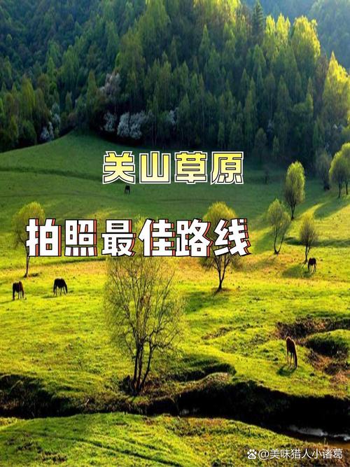 辽宁省彰武县天气预报？辽宁彰武县天气15天？-第2张图片-优品飞百科