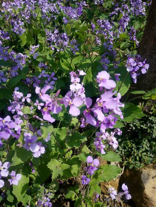 南京江宁区天气预报，南京15天最新天气预报准确率？-第4张图片-优品飞百科