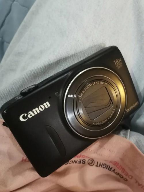 佳能sx210is当时多少钱，佳能sx20is费用-第5张图片-优品飞百科