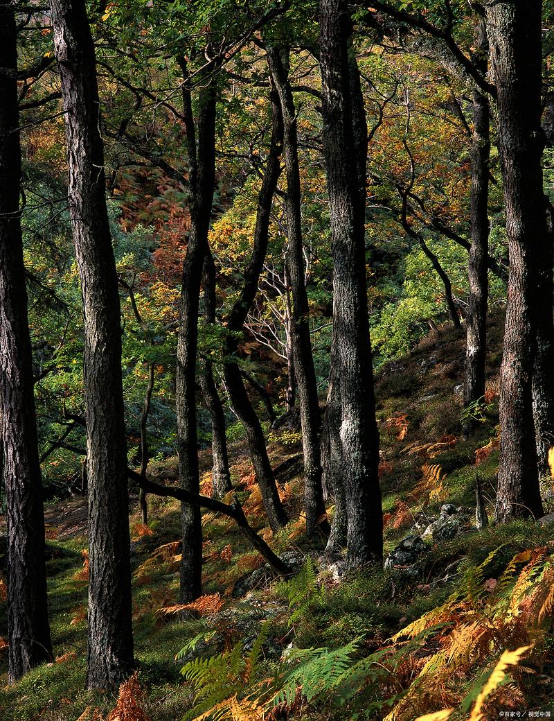 桦甸天气预报15天查询？桦甸天气预报15天查询当地疫情？-第2张图片-优品飞百科