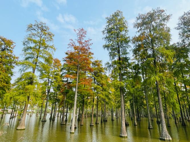 天气预报安陆，安陆天气预报2345-第1张图片-优品飞百科