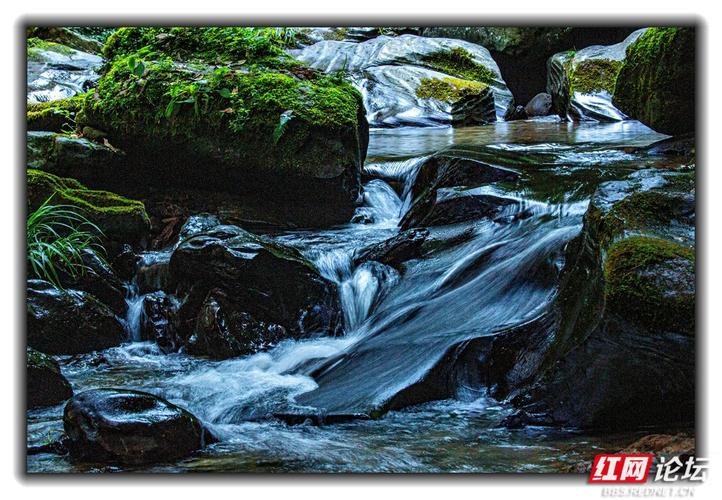 岳塘天气预报，天气岳塘区-第2张图片-优品飞百科