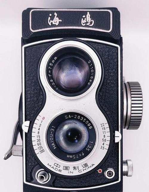 海鸥相机大全，海鸥相机操作方法？-第2张图片-优品飞百科