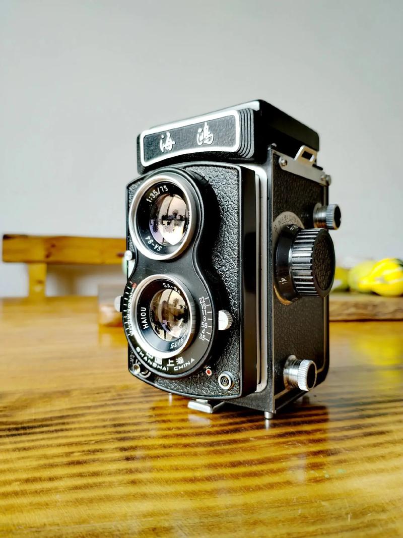 海鸥相机大全，海鸥相机操作方法？-第4张图片-优品飞百科