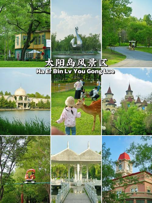 哈尔滨太阳岛天气预报，哈尔滨太阳岛天气预报一周7天？-第4张图片-优品飞百科