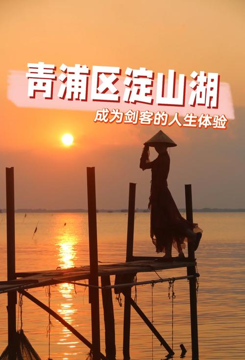 上海奉贤区天气预报？上海奉贤区天气预报明天多少度？-第2张图片-优品飞百科