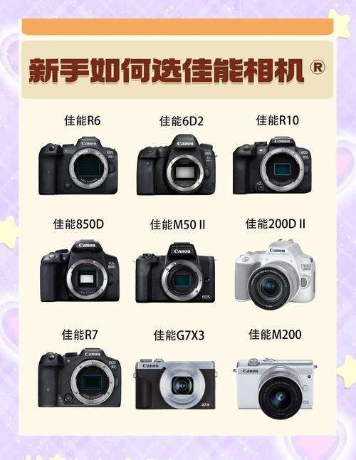 佳能数码相机购买？佳能数码相机购买指南？-第4张图片-优品飞百科