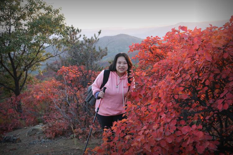 河南济源天气预报，济源天气预报15天30天？-第1张图片-优品飞百科