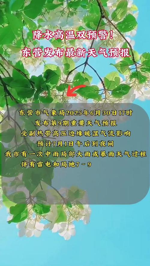 东营天气预报15天，山东天气预报30天准确-第4张图片-优品飞百科