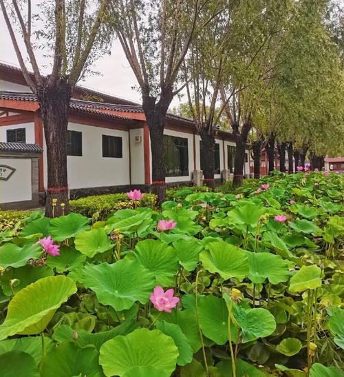 保定雄县天气预报，雄县天气预报15天查询结果-第3张图片-优品飞百科