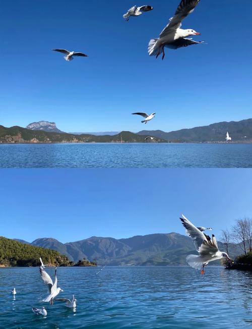 昆明寻甸天气预报，昆明寻甸天气预报一周7天查询结果是什么样的呢-第1张图片-优品飞百科