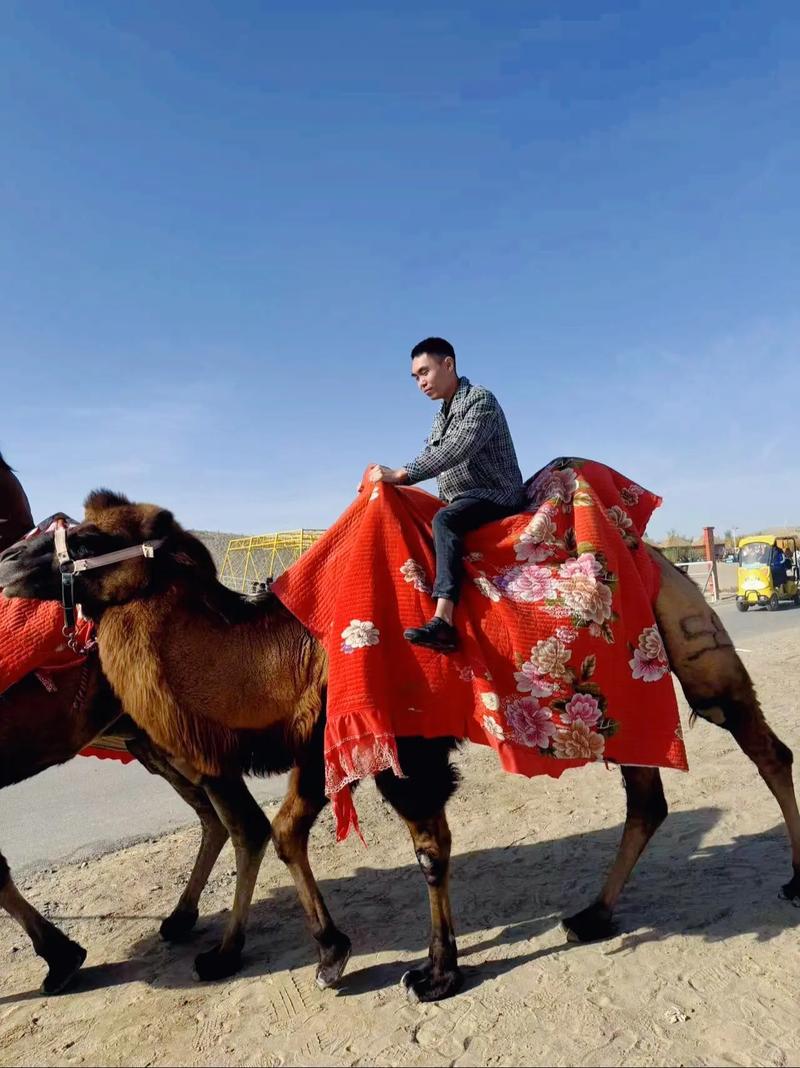 腾格里沙漠天气预报？内蒙古腾格里沙漠天气预报？-第2张图片-优品飞百科