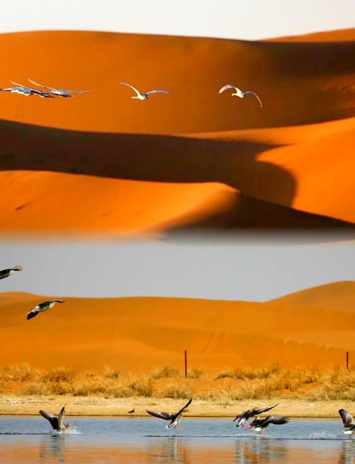 腾格里沙漠天气预报？内蒙古腾格里沙漠天气预报？-第6张图片-优品飞百科