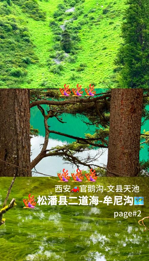 文县碧口天气预报，文县碧口镇-第1张图片-优品飞百科