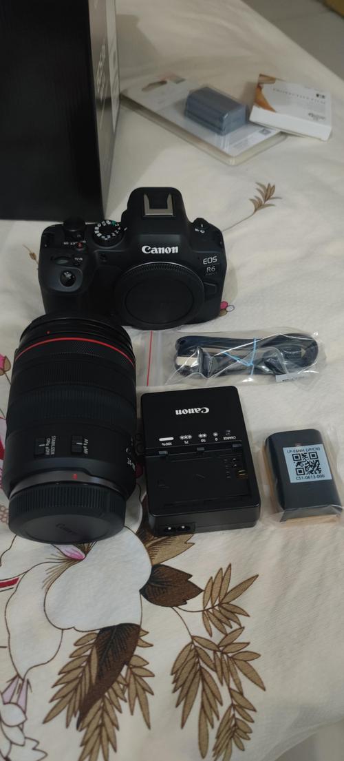 佳能eosr6参数配置，佳能eos r6实拍-第2张图片-优品飞百科