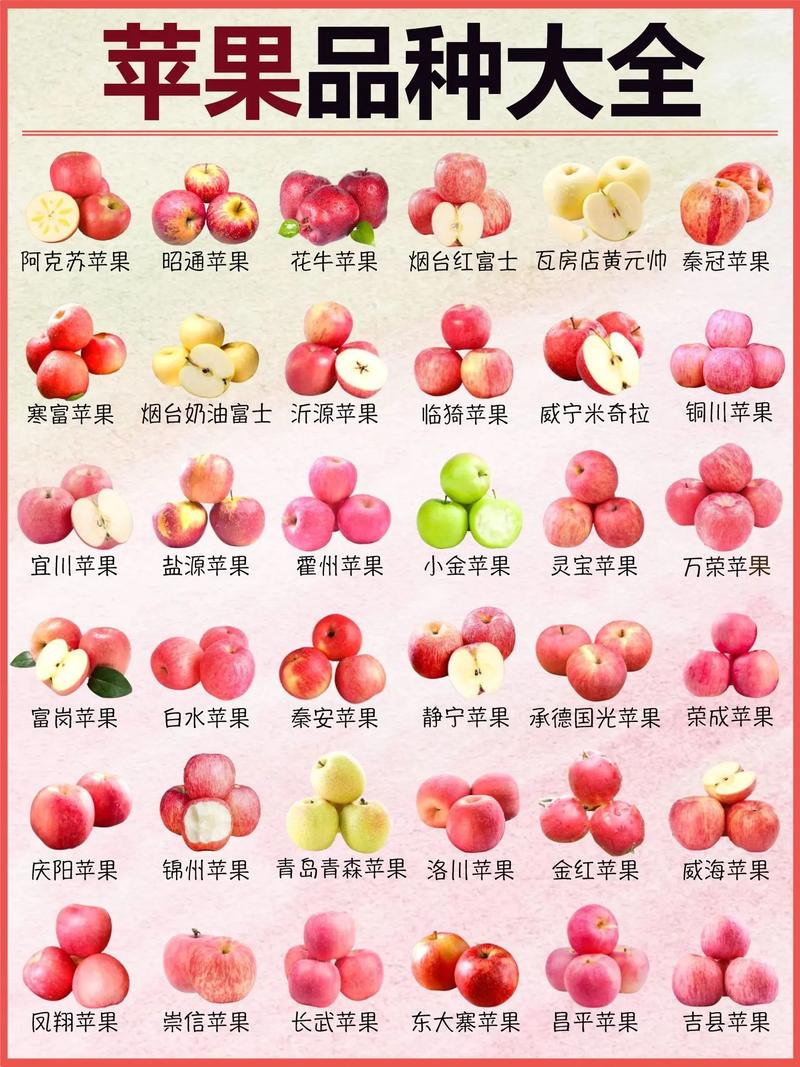 苹果6s和苹果12的区别？苹果6s和苹果12哪个好？