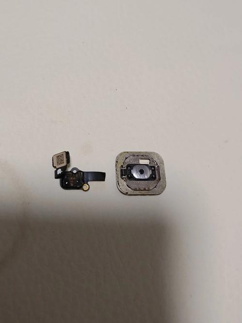 iphone6换home键多少钱？6s换一个home键多少钱？-第4张图片-优品飞百科