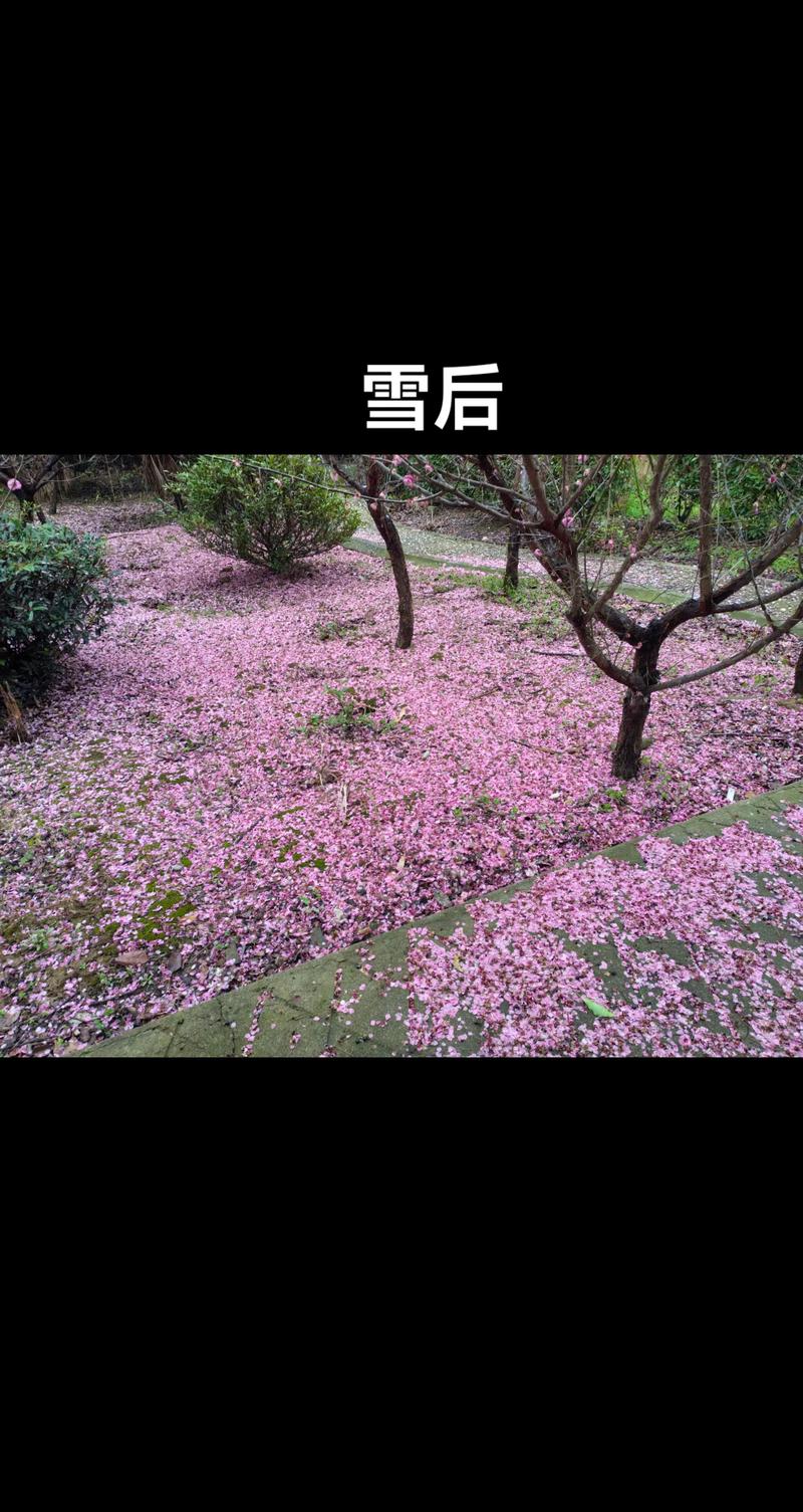 夷陵区最新天气预报，下载夷陵区天气预报？-第1张图片-优品飞百科