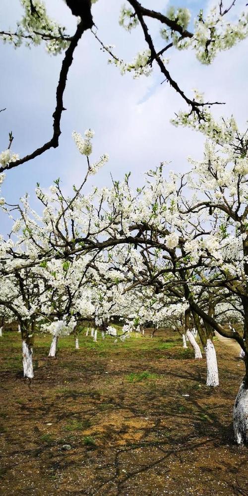前哨天气预报，冲裁间隙对模具的影响？-第1张图片-优品飞百科