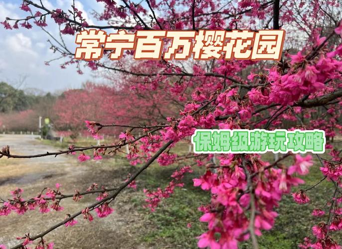 常宁一周天气预报，常宁天气预报2345-第2张图片-优品飞百科