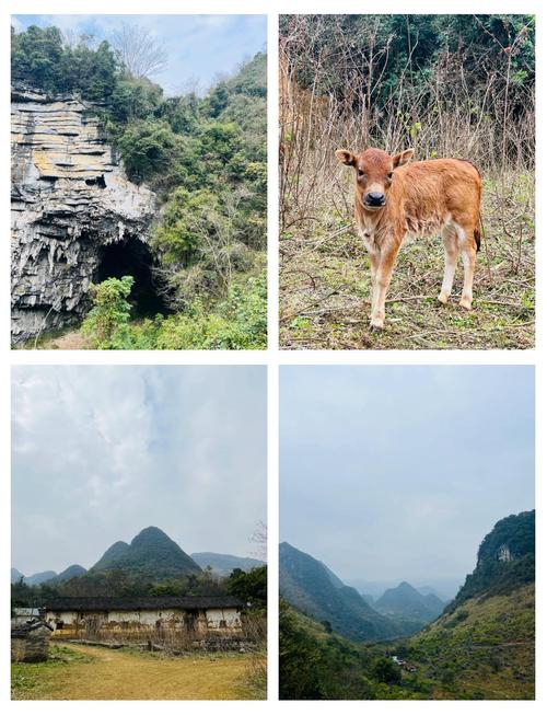 英西峰林天气预报？广东清远英西峰林天气？-第2张图片-优品飞百科