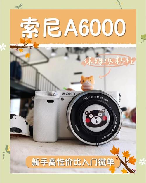 索尼a6000什么时候出的？索尼a6000刚出来多少钱？-第3张图片-优品飞百科