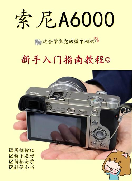 索尼a6000什么时候出的？索尼a6000刚出来多少钱？-第4张图片-优品飞百科