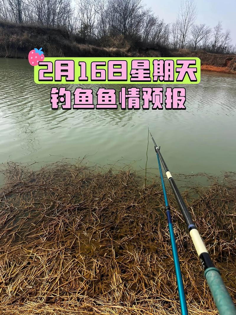 白银今天天气预报，白银今天天气预报怎么样？-第3张图片-优品飞百科