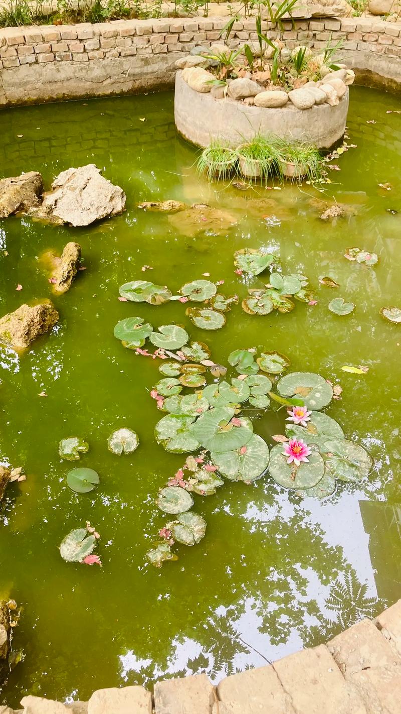 开平天气预报，开平天气预报台风-第3张图片-优品飞百科