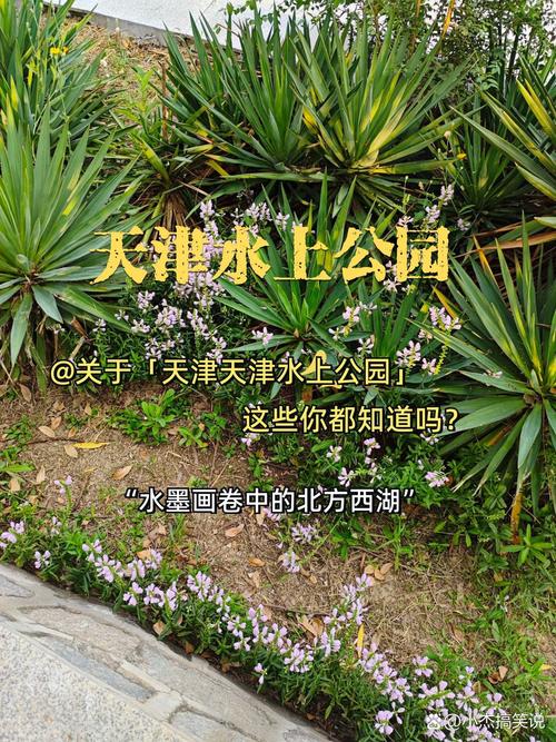 天津南开区天气预报，天津南开区天气预报今日？